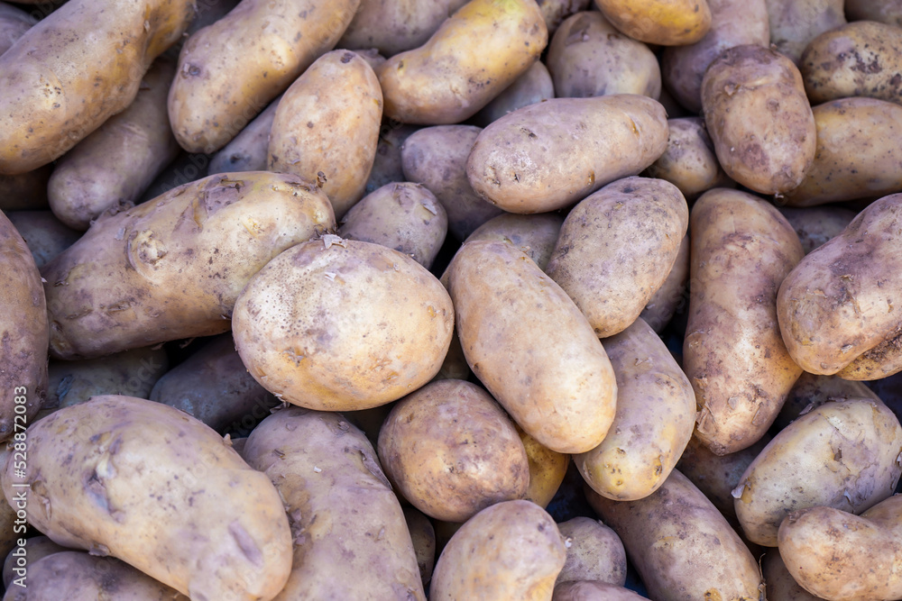 potato background in the market potato background in the market
