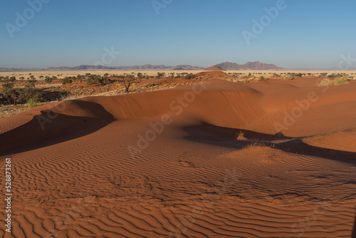 huge sand dunes in the Namib Desert with trees in the foreground of Namibia