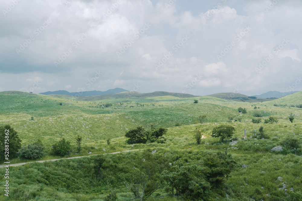 Fototapeta premium 秋吉台カルスト