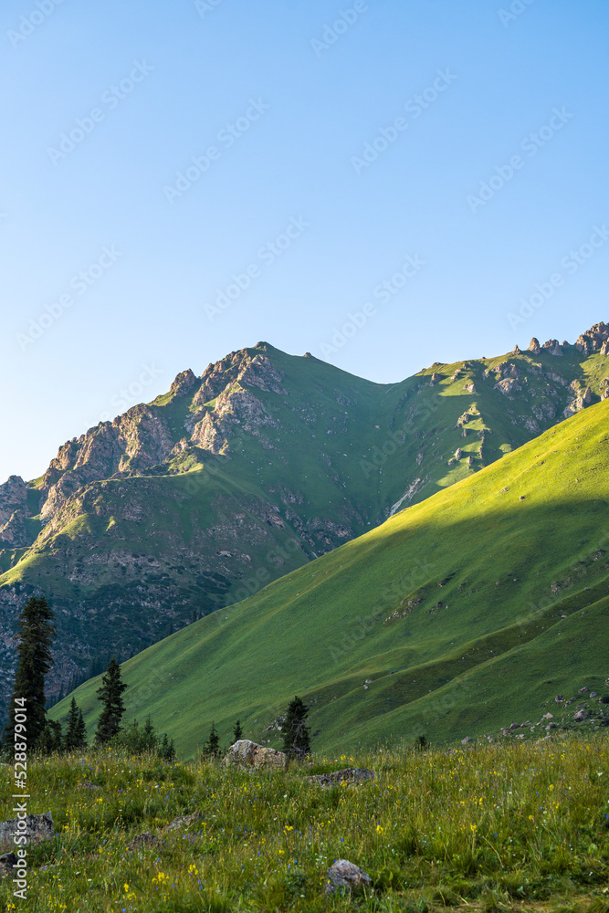 beautiful scenery mountain & forest in Xinjiang China