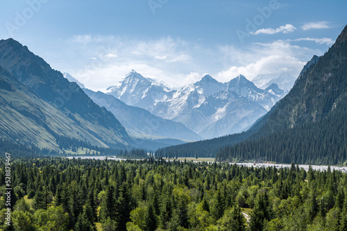 beautiful scenery mountain & forest in Xinjiang China