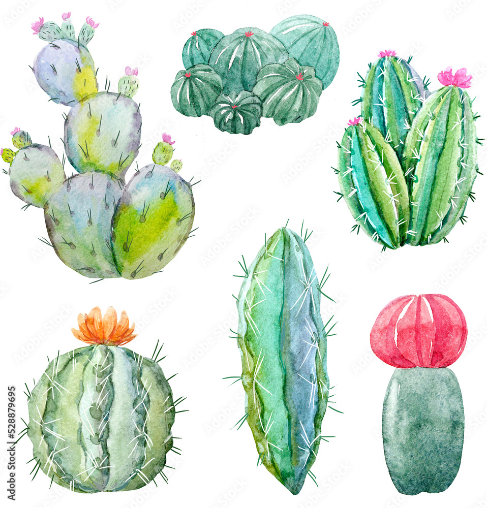 Watercolor cacti set on transparent background Watercolor cacti set on transparent background