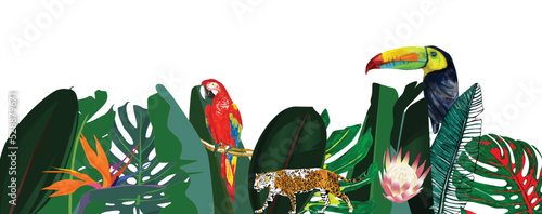 Set of tropical leaves, parrot, leopard. Hand-drawn illustration of exotic floral elements isolated on white background. Leaf of palm trees and flowers, jungle foliage. Greeting card, wedding, banner.