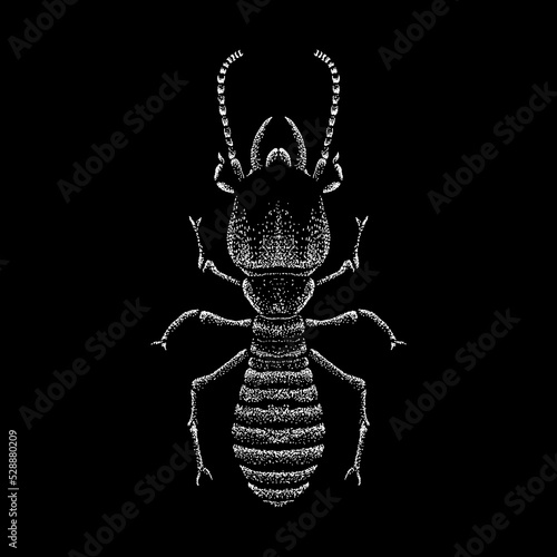 Termite hand drawing vector illustration isolated on black background