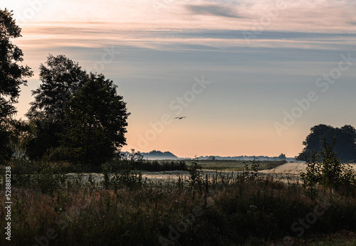 Early morning in the countryside  a stork flies across the meadow
