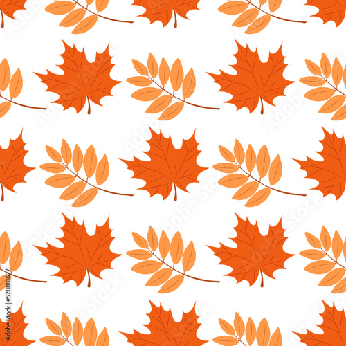 autumn pattern with autumn leaves. Autumn pattern for autumn design