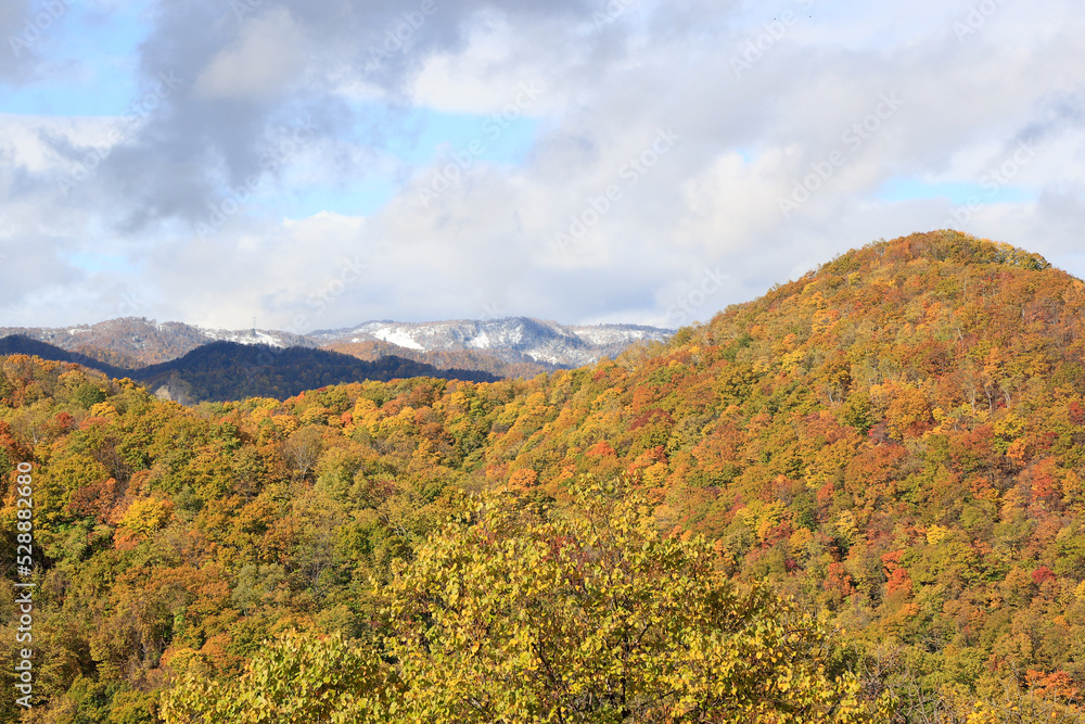 北海道の緑と秋の空と雪山