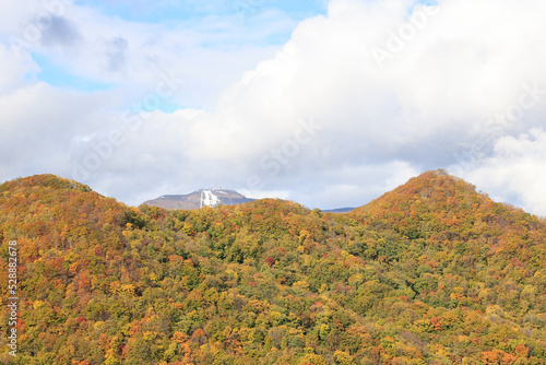 北海道の緑と秋の空と雪山