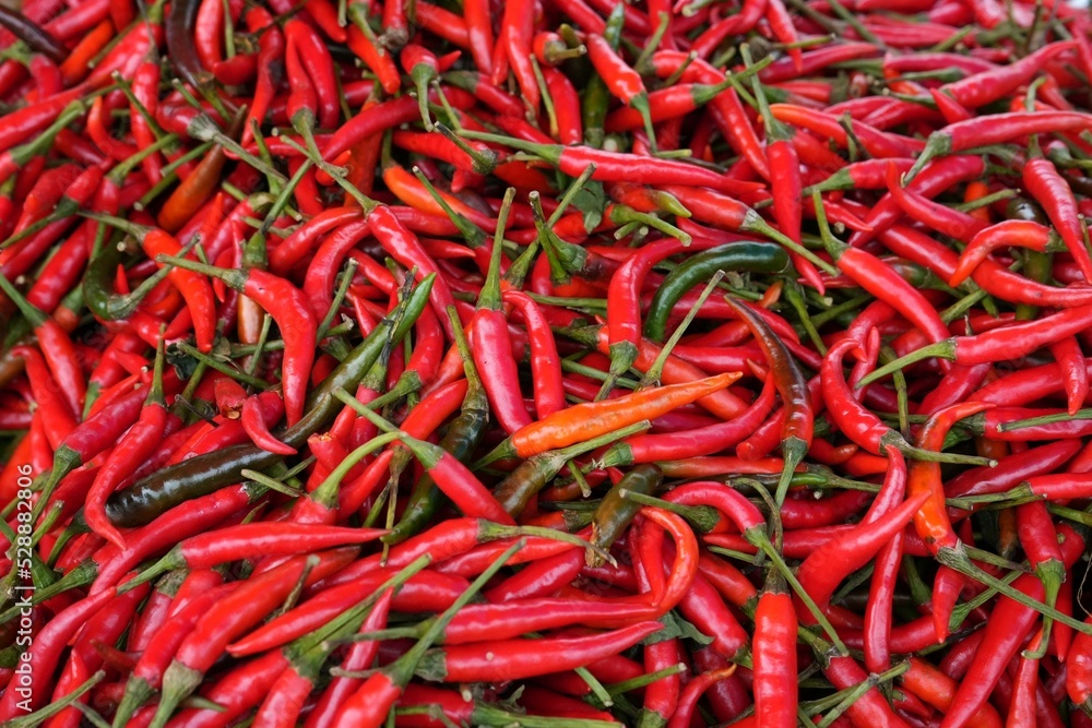 Fresh red chilli, stacked for sale in the market