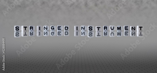 stringed instrument word or concept represented by black and white letter cubes on a grey horizon background stretching to infinity