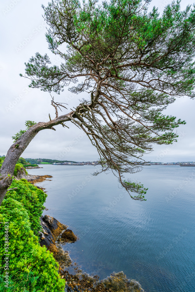 Distant view of Stornoway across the bay, Isle of Lewis, Scotland