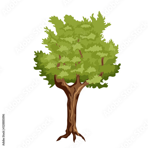 Tree in cartoon style on a white background. isolated. Vector stock illustration. Plant and nature.