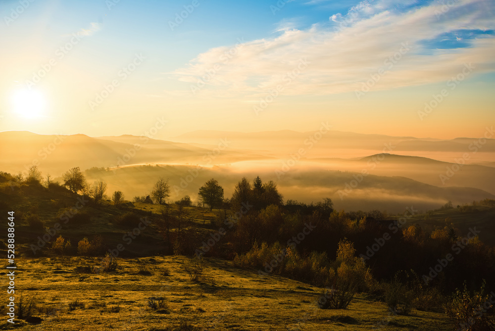 Autumn forest in morning fog.. Nature scene during sunset fog. Wooden bench in picturesque scenery. Bright sunlight. Sunrise on a sunny day, morning sunlight. Autumn background. Autumn forest in morning fog.. Nature scene during sunset fog. Wooden bench in picturesque scenery. Bright sunlight. Sunrise on a sunny day, morning sunlight. Autumn background.