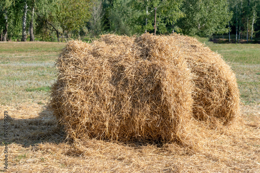 Country landscape with straw stack.Dry hay on a summer day.Bales of straw are illuminated by the sun.