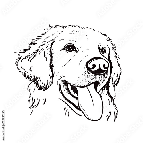 dog Labrador Retriever with pink background. Silhouette. Line art. Template. Close-up. Clip art. Hand Painting. Ink. Black and white.