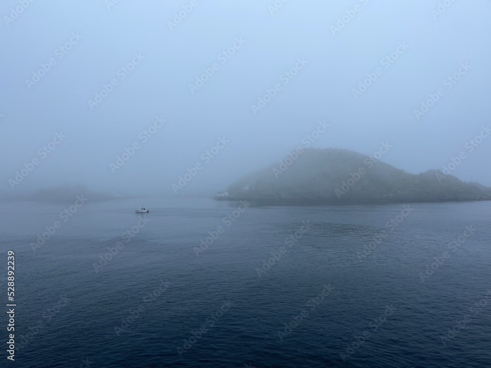 Foggy landscape background, mist