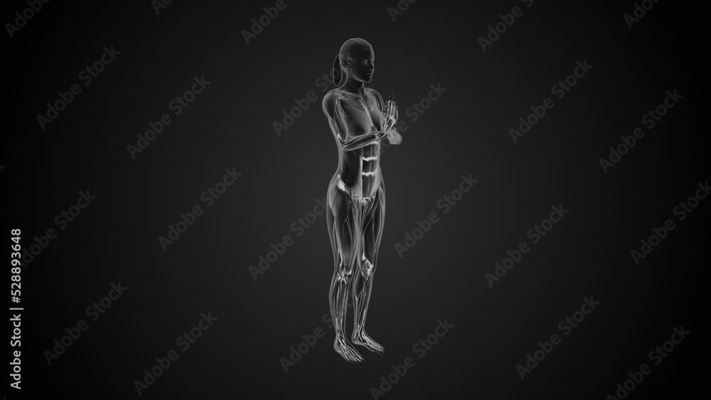 3D human tadasana praying yoga pose on black background 3D human tadasana praying yoga pose on black background