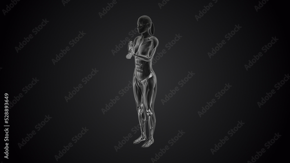 3D human tadasana praying yoga pose on black background 3D human tadasana praying yoga pose on black background