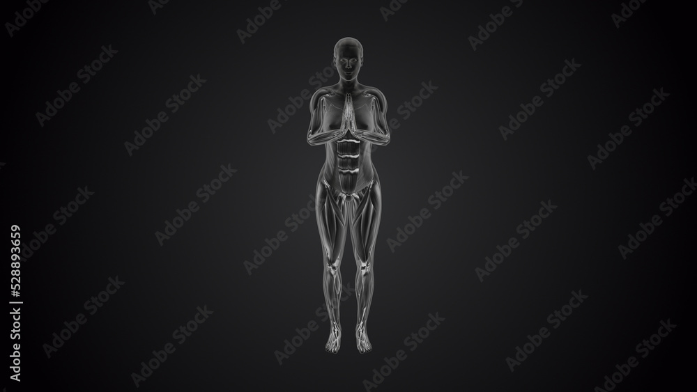 3D human tadasana praying yoga pose on black background 3D human tadasana praying yoga pose on black background