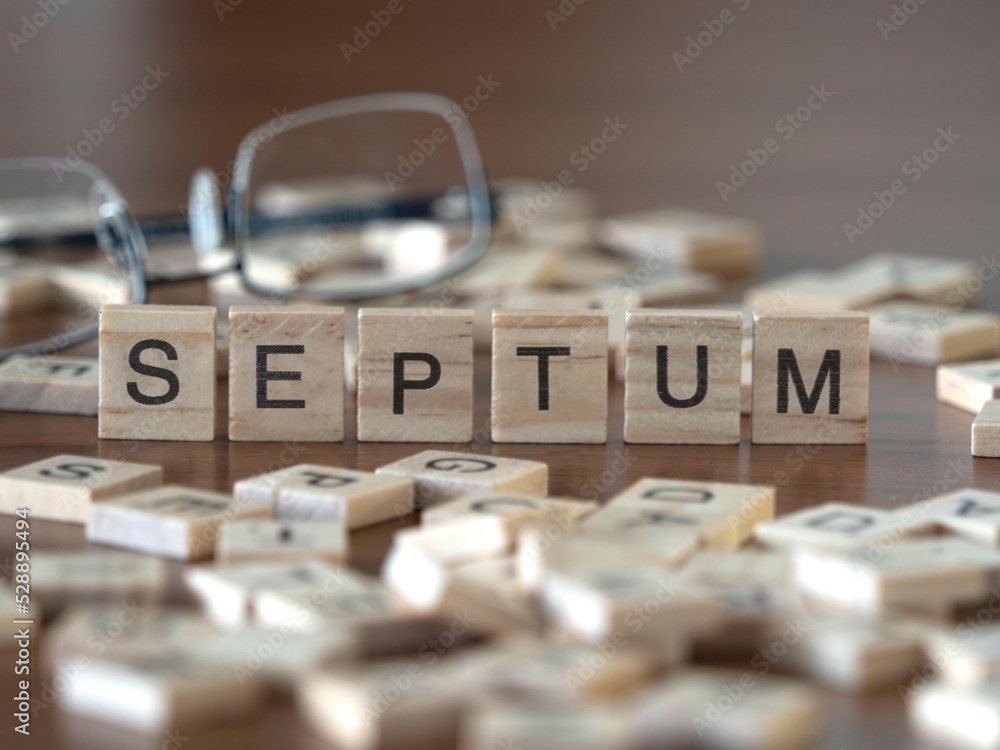 septum word or concept represented by wooden letter tiles on a wooden table with glasses and a book septum word or concept represented by wooden letter tiles on a wooden table with glasses and a book