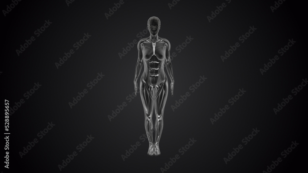 3D human tadasan mountain yoga pose on black background 3D human tadasan mountain yoga pose on black background