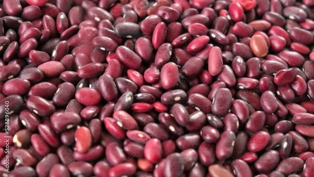 Kidney beans spinning background. Dry red bean wallpaper. Texture. Frame with copy space. Lots of Beans rotating on turntable. Close up. Diet, vegetarianism. Healthy Food. Legume grains in slow motion Kidney beans spinning background. Dry red bean wallpaper. Texture. Frame with copy space. Lots of Beans rotating on turntable. Close up. Diet, vegetarianism. Healthy Food. Legume grains in slow motion