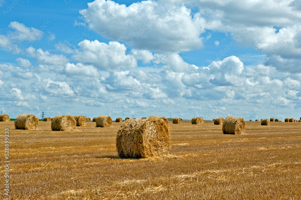 Picturesque field landscape with hay rolls