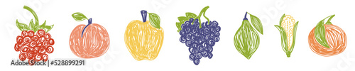 Fruit and berry bundle. Raspberry, peach and apple. Grape, lime, corn and orange. Color illustration collection. Vector set. Pen or marker doodle drawing