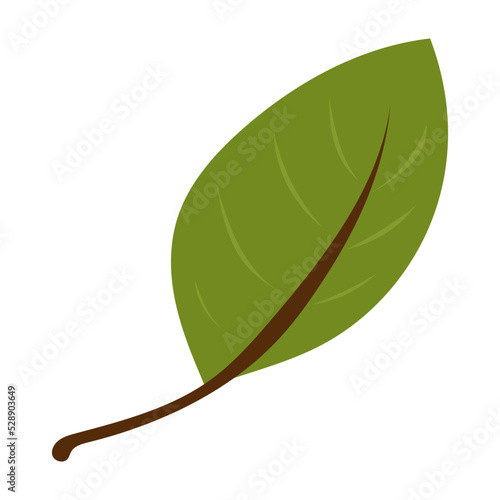 Herbst Blatt