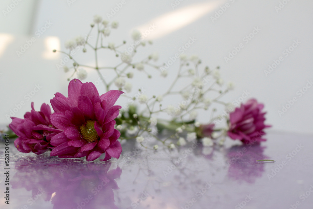 Obraz premium Composition of pink fresh flowers on a gentle background with drops and splashes