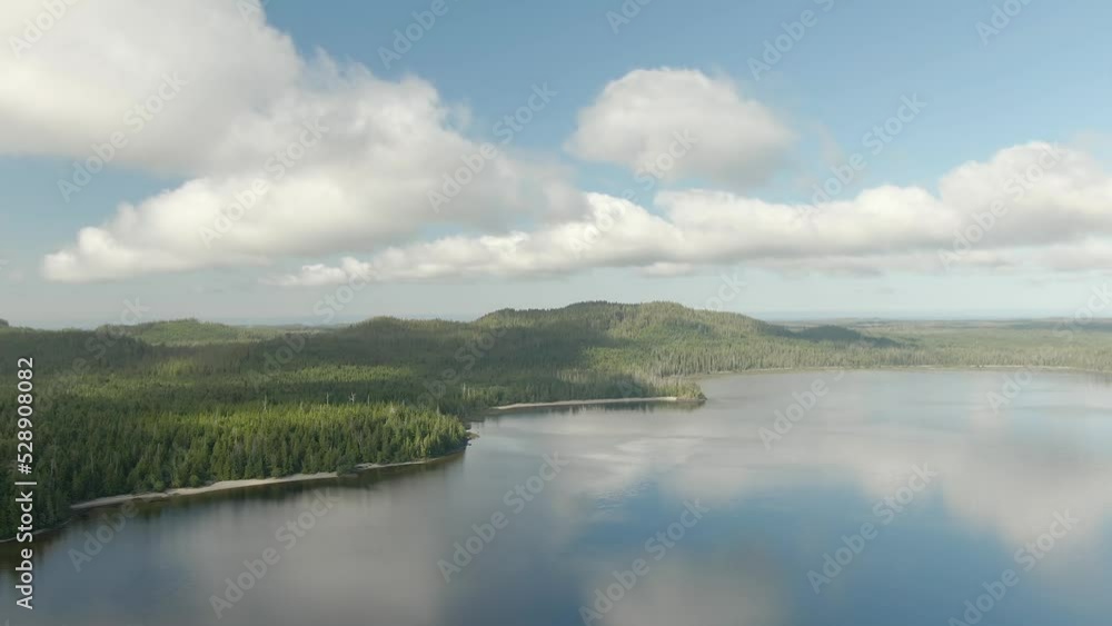 Sandy beach on the lake with green trees. Canadian Nature Background. Aerial View from Above. Kennedy Lake in Vancouver Island near Tofino and Ucluelet, British Columbia, Canada. Sandy beach on the lake with green trees. Canadian Nature Background. Aerial View from Above. Kennedy Lake in Vancouver Island near Tofino and Ucluelet, British Columbia, Canada.