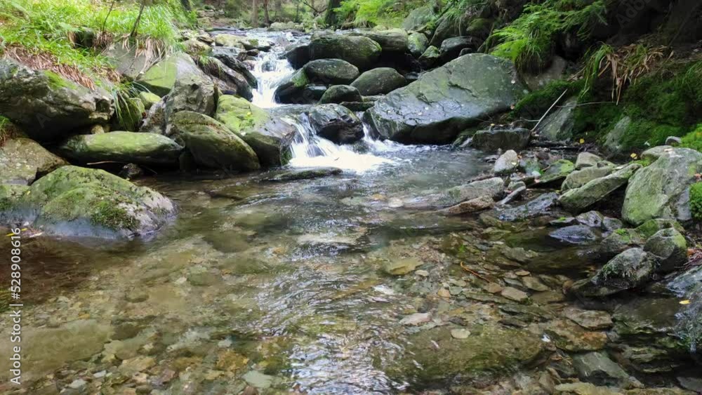 rocky river flowing through a green forest in summer sunny day. beautiful forest, flowing river, green leaves. natural sound rocky river flowing through a green forest in summer sunny day. beautiful forest, flowing river, green leaves. natural sound