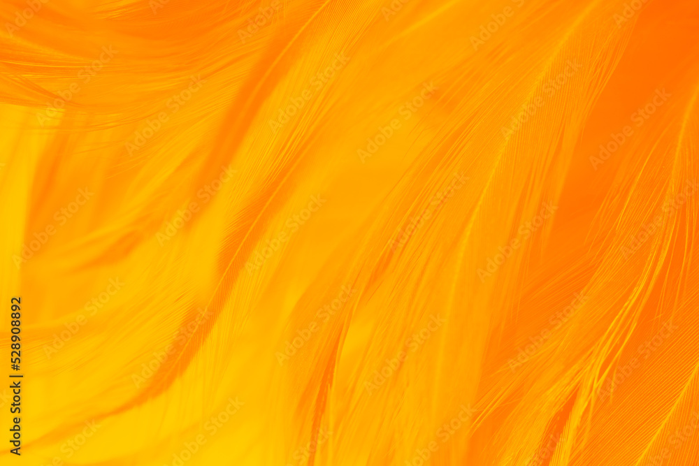 yellow orange feather texture pattern background