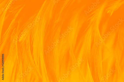 yellow orange feather texture pattern background