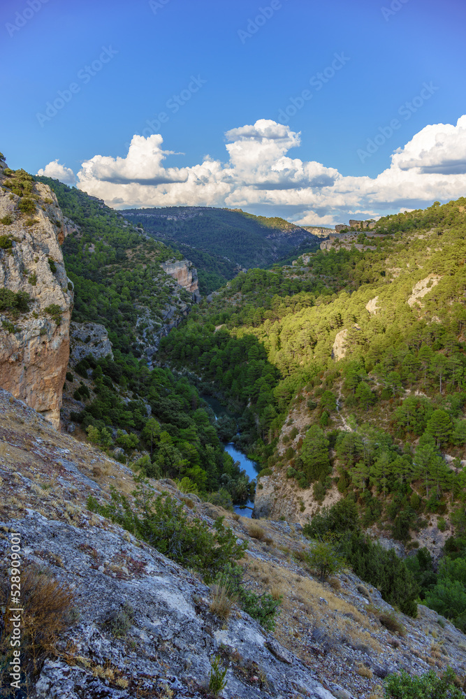 A river at the bottom of a canyon with lots of vegetation A river at the bottom of a canyon with lots of vegetation