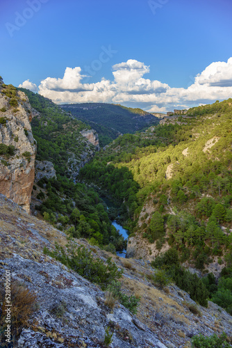 A river at the bottom of a canyon with lots of vegetation