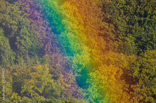 a close-up of a rainbow over a forest