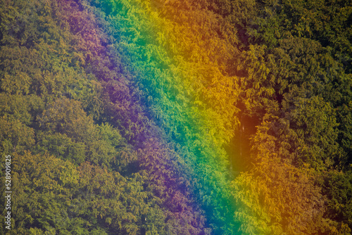 Landscape with a rainbow above a forest