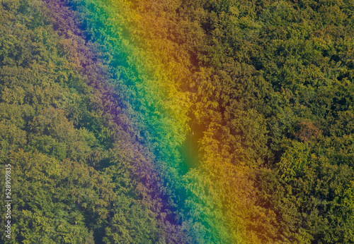 a close-up of a rainbow on a forest background