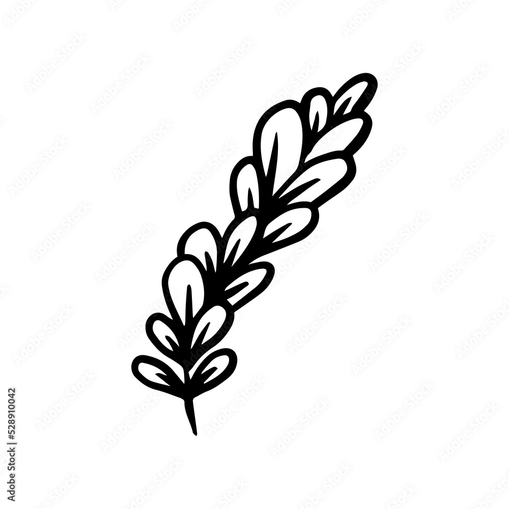 lavender hand drawn leaf and flower illustration, flower lineart isolated graphic elements for your design, floral line art for classic design lavender hand drawn leaf and flower illustration, flower lineart isolated graphic elements for your design, floral line art for classic design