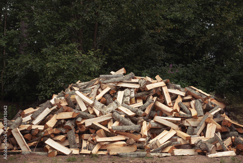 A pile of chopped wood. Firewood for kindling a furnace.