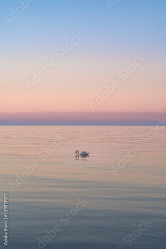 Ocean Sunset © Rickard