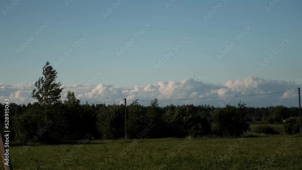 a wall of clouds over the forest, dense, dense clouds a wall of clouds over the forest, dense, dense clouds