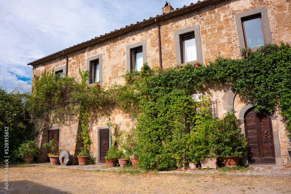 Ivy covered building in medieval town in Tuscany, Italy. Brick walls and plants