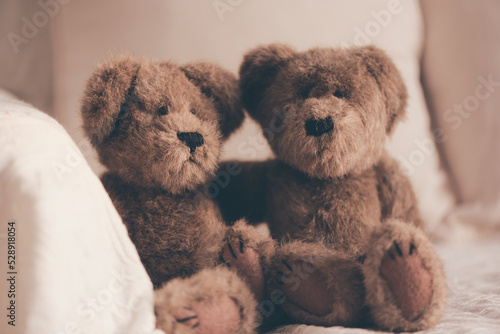 Couple teddy bears sitting on the white comfort sofa hugging with soft sunlight at sunset,love,family,friendship,lover,best friend, mentor, encouragement,insurance and safety concepts, Stay at home.