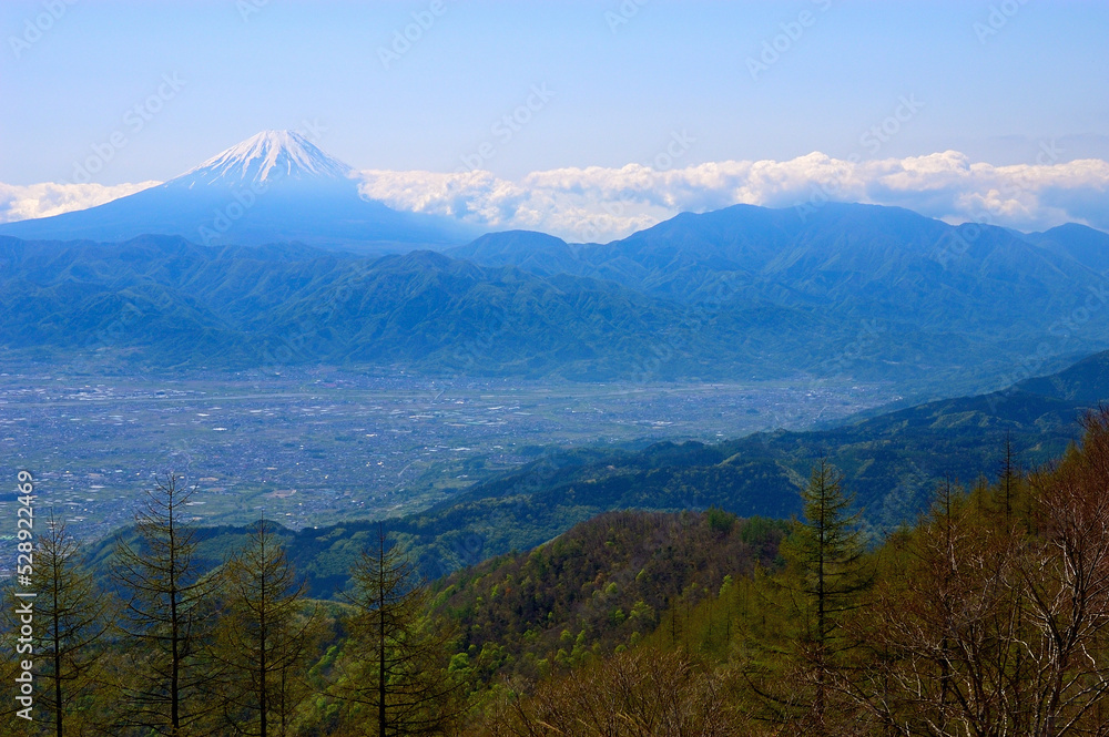 Fototapeta premium Mt. Fuji in autumn_4