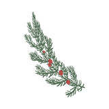 Pine leaves and flowers are hand drawn into wreaths in an isolated background. Design elements for christmas design decorations