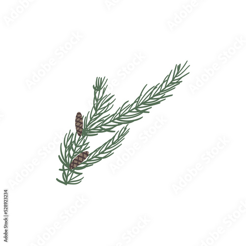 Pine leaves and flowers are hand drawn into wreaths in an isolated background. Design elements for christmas design decorations