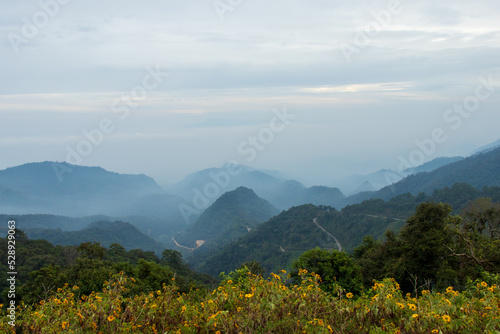 Viewpoint on the mountain with fog in the morning at Doi Ang Khang, Chiang Mai Province Thailand.