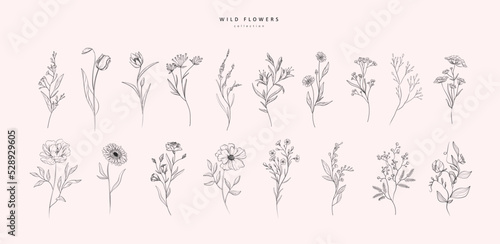 Set of luxury flowers and logo. Trendy botanical elements. Hand drawn line leaves branches and blooming. Wedding elegant wildflowers for invitation save the date card. Vector